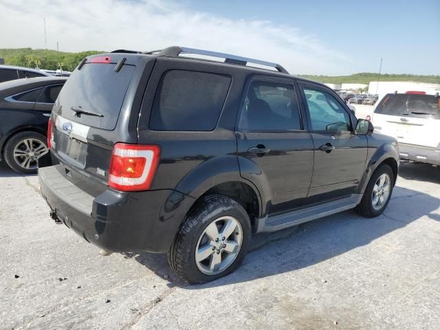 2010 Ford Escape Limited