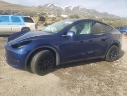 Tesla salvage cars for sale: 2023 Tesla Model Y