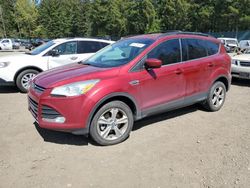 2013 Ford Escape SE en venta en Graham, WA