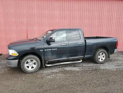 Salvage cars for sale from Copart London, ON: 2011 Dodge RAM 1500