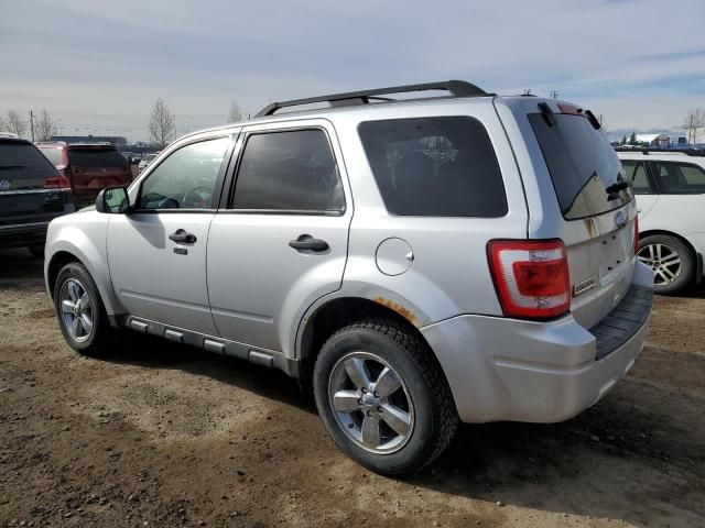 2012 Ford Escape XLT