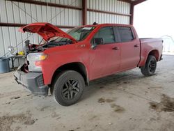 Salvage cars for sale from Copart Helena, MT: 2019 Chevrolet Silverado K1500 Trail Boss Custom