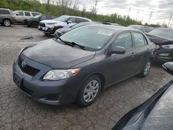 Toyota Corolla salvage cars for sale: 2010 Toyota Corolla Base