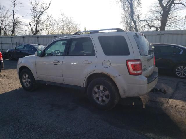 2011 Ford Escape Limited