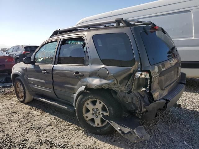 2002 Ford Escape XLT