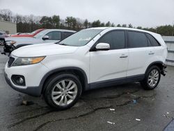 KIA Sorento Vehiculos salvage en venta: 2011 KIA Sorento EX