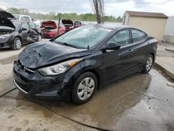 Salvage cars for sale from Copart Louisville, KY: 2016 Hyundai Elantra SE