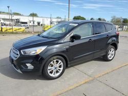 Salvage cars for sale at Sacramento, CA auction: 2019 Ford Escape SE