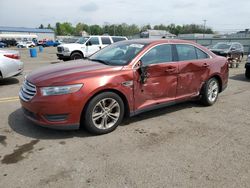 Salvage cars for sale at Pennsburg, PA auction: 2014 Ford Taurus SEL