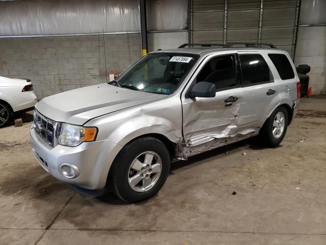 2010 Ford Escape XLT