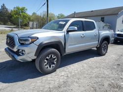 Salvage cars for sale at York Haven, PA auction: 2023 Toyota Tacoma Double Cab