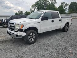 Salvage cars for sale from Copart Gastonia, NC: 2014 Ford F150 Supercrew