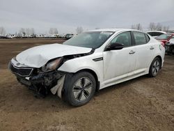 Vehiculos salvage en venta de Copart Rocky View County, AB: 2011 KIA Optima Hybrid