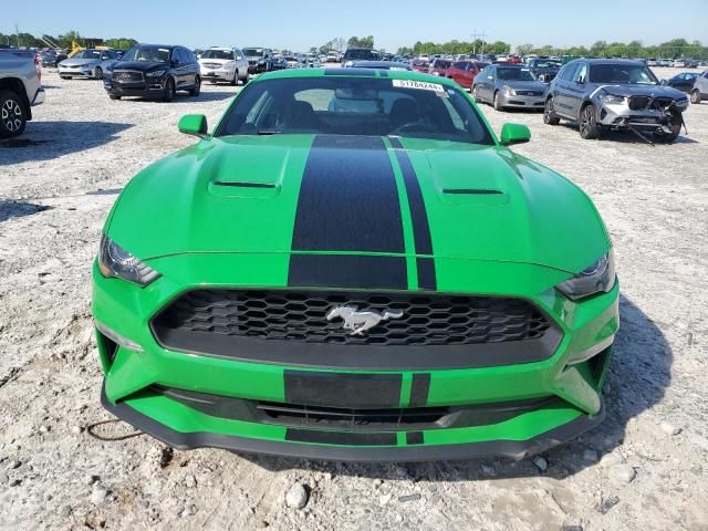 2019 Ford Mustang