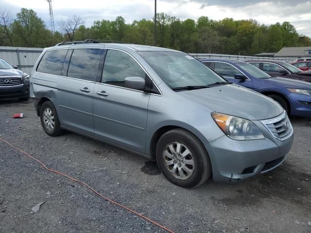 2008 Honda Odyssey EXL