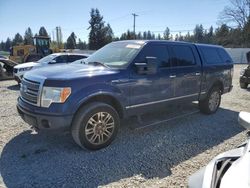 Ford salvage cars for sale: 2009 Ford F150 Supercrew