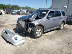 Salvage cars for sale at Apopka, FL auction: 2008 Ford Escape XLT