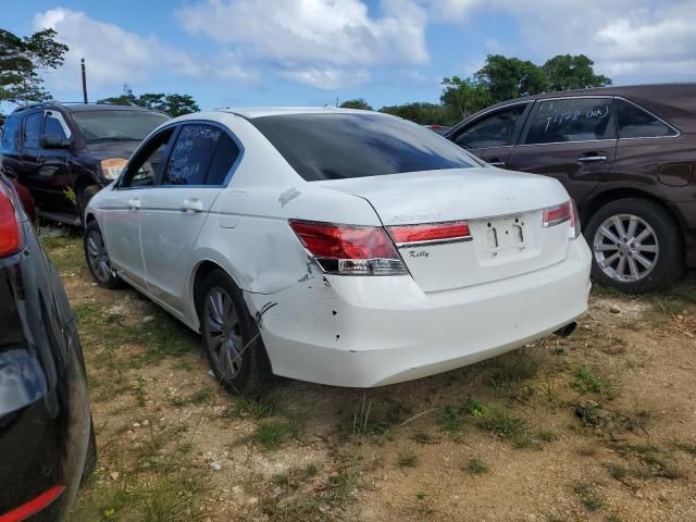 2011 Honda Accord EXL