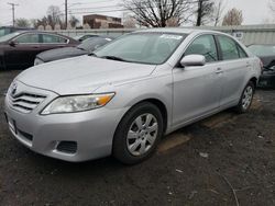 Salvage cars for sale at New Britain, CT auction: 2010 Toyota Camry Base