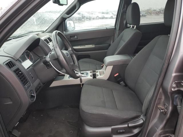 2009 Ford Escape XLT