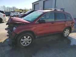 Salvage cars for sale at Duryea, PA auction: 2009 Honda CR-V EX
