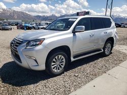 Lexus gx salvage cars for sale: 2017 Lexus GX 460