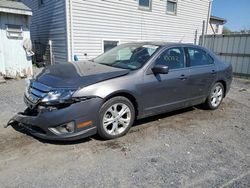 Salvage cars for sale at York Haven, PA auction: 2012 Ford Fusion SE