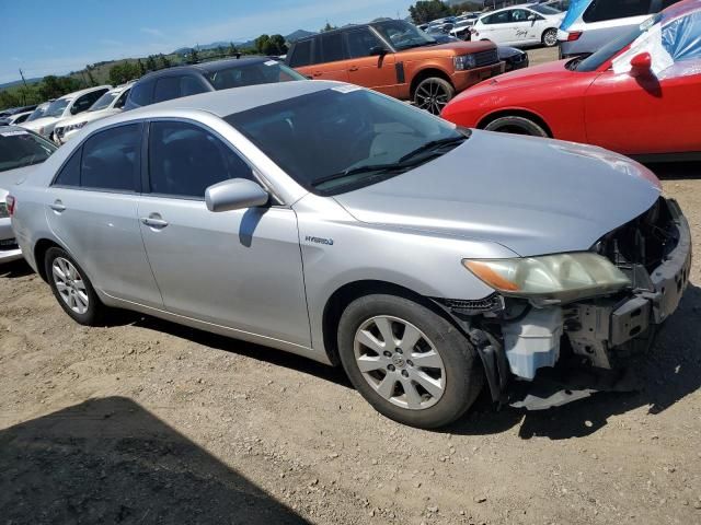 2009 Toyota Camry Hybrid