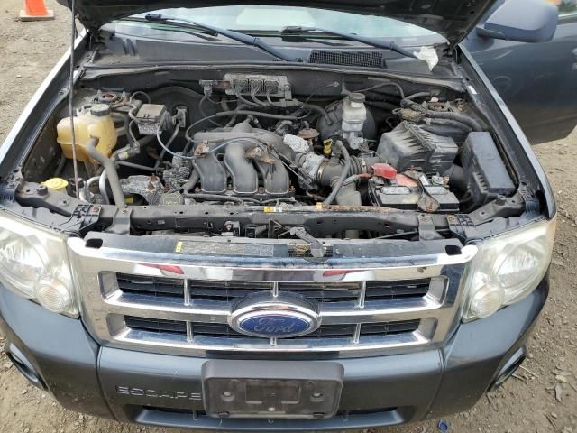 2008 Ford Escape XLT