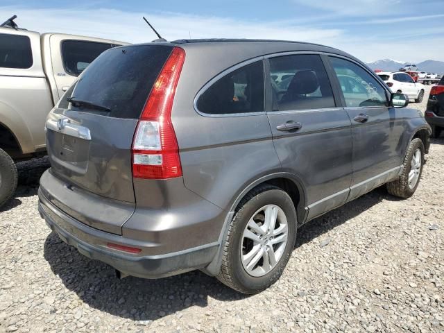 2010 Honda CR-V EXL