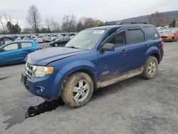 Ford salvage cars for sale: 2008 Ford Escape XLT