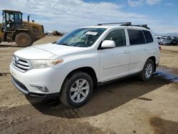 Salvage cars for sale from Copart Brighton, CO: 2011 Toyota Highlander Base