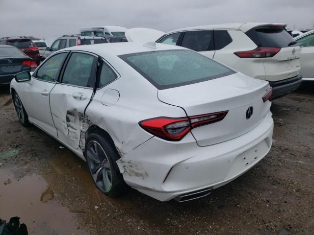 2023 Acura TLX Advance