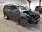 2008 Ford Escape HEV