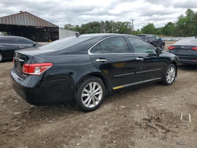 2010 Lexus ES 350