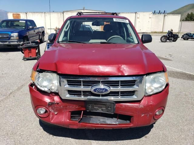 2010 Ford Escape XLT