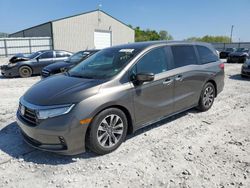 Salvage cars for sale at auction: 2021 Honda Odyssey EXL