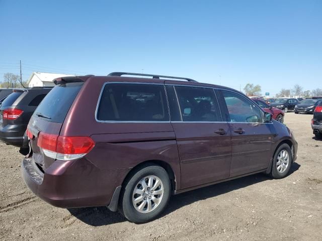 2008 Honda Odyssey EXL