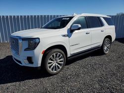 Salvage cars for sale at Fredericksburg, VA auction: 2023 GMC Yukon Denali