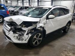 Salvage cars for sale at Ham Lake, MN auction: 2017 Ford Escape SE