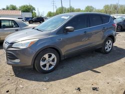 Lots with Bids for sale at auction: 2013 Ford Escape SE