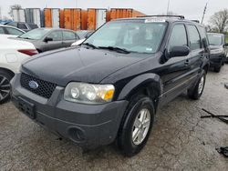 Ford Escape XLS Vehiculos salvage en venta: 2006 Ford Escape XLS