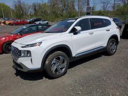 2023 Hyundai Santa FE SEL Premium en venta en Marlboro, NY