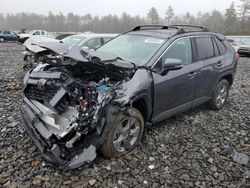 Toyota salvage cars for sale: 2024 Toyota Rav4 XLE