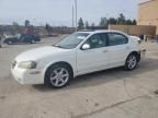 2003 Nissan Maxima GLE