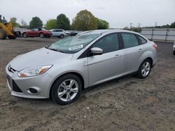 Salvage cars for sale from Copart Mocksville, NC: 2013 Ford Focus SE