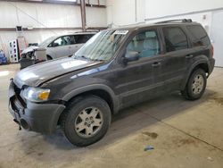 Ford Escape XLT salvage cars for sale: 2007 Ford Escape XLT