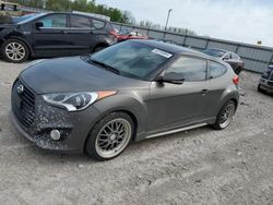 Salvage cars for sale from Copart Lawrenceburg, KY: 2013 Hyundai Veloster Turbo