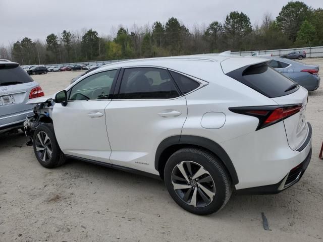 2021 Lexus NX 300H Base