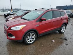 Ford Escape SEL Vehiculos salvage en venta: 2013 Ford Escape SEL